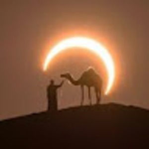 Meet your Posher, Demarcus